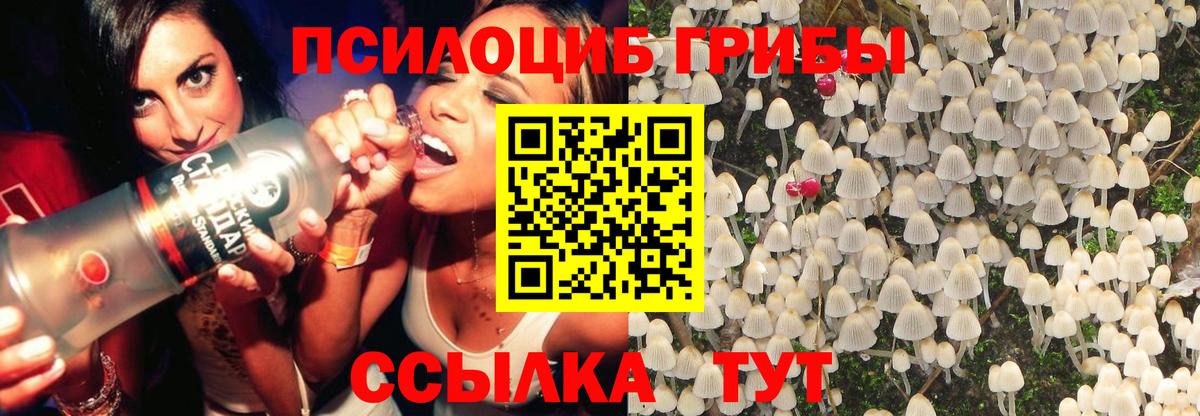 Псилоцибиновые грибы прущие грибы  Вход с VPN  Москва  Галлюциногенные грибы ЛСД 