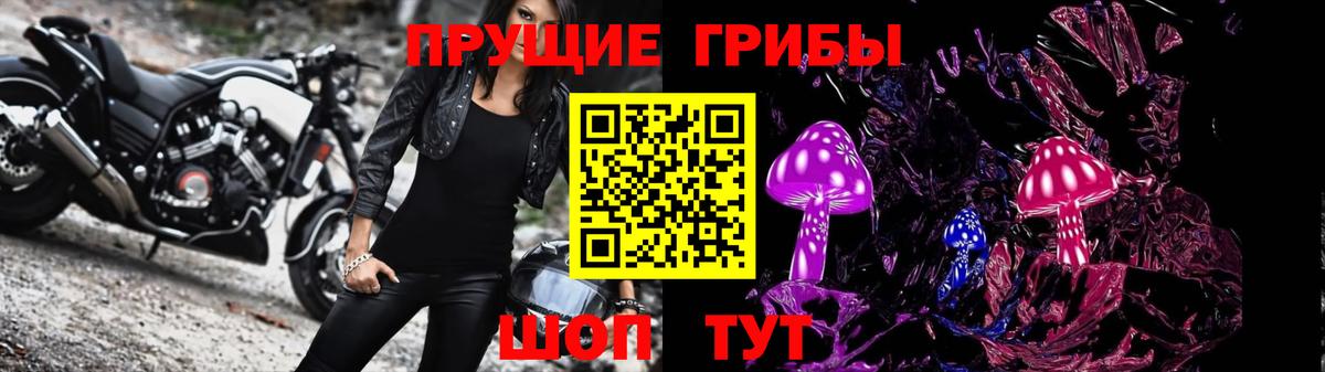 Альфа ПВП Москва